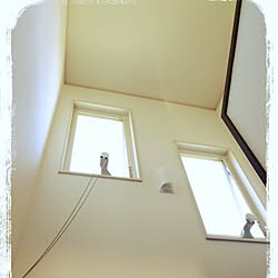 壁/天井/階段の窓/ツバメ被害のインテリア実例 - 2016-06-10 15:08:35