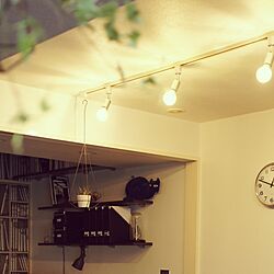 壁/天井/IKEA/観葉植物/白黒/照明のインテリア実例 - 2014-12-14 02:55:50