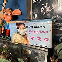 新到着 トッポジージョ ブラジル エストレラ社 レトロ 置物 トッポ