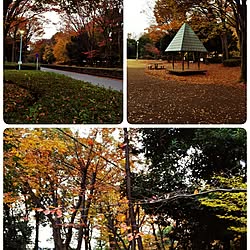 壁/天井/近くの公園で/雨がシトシト/急に寒くなりました/Blue Cloverのインテリア実例 - 2016-11-21 18:17:22