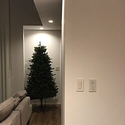 クリスマスツリー/リビング/玄関インテリア/吹き抜け/部屋全体のインテリア実例 - 2020-11-30 19:10:18