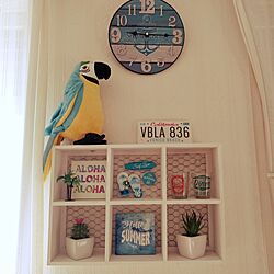 リビング/セリア/DIY/IKEAのインテリア実例 - 2017-06-23 09:23:36