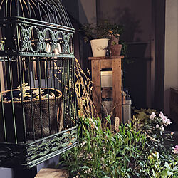 鳥かご/夜の庭/よるをたのしむ/ベランダガーデン/ベッド周りのインテリア実例 - 2022-05-21 21:44:31
