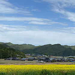 窓からの風景/窓からの眺め/無垢の家/いつもありがとうございます♡/田舎の風景...などのインテリア実例 - 2021-04-25 11:00:36