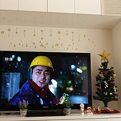 リビング/#テレビボード　#クリスマスツリーのインテリア実例 - 2016-12-12 11:19:13