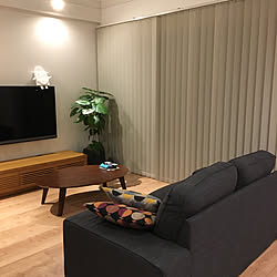 壁掛けテレビ/ウンベラータ/IKEA/ソファ/リビングのインテリア実例 - 2019-07-13 22:52:53