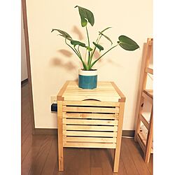 モンステラ/IKEA/観葉植物のインテリア実例 - 2016-10-27 09:49:36