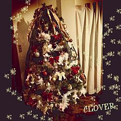 リビング/クリスマス飾り/クリスマスツリーのインテリア実例 - 2015-11-20 20:00:17