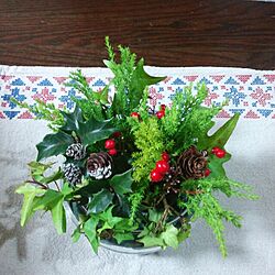 雑貨/植物/手作り/クリスマス小物のインテリア実例 - 2013-12-14 18:21:08