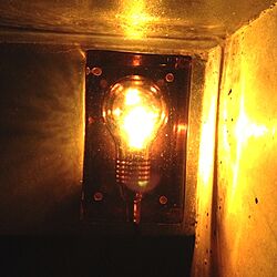 リビング/照明のインテリア実例 - 2013-03-02 09:33:15