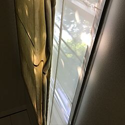 壁/天井/ロールアップカーテンのインテリア実例 - 2017-07-08 21:26:32