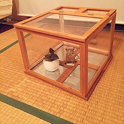 植物/コーヒー染め/ミニ温室/100均DIY/DIY...などのインテリア実例 - 2016-10-23 19:54:11