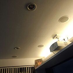 壁/天井/リビングシアター/シンプル/照明のインテリア実例 - 2013-08-26 17:12:55