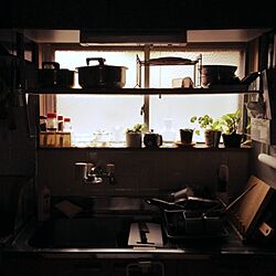 キッチン/シンプル　/観葉植物/植物のインテリア実例 - 2014-05-14 21:14:18