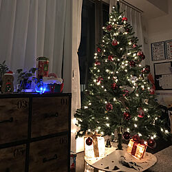 クリスマス/クリスマスツリーのインテリア実例 - 2018-11-23 21:40:25