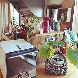 キッチン/観葉植物のある部屋のインテリア実例 - 2016-12-09 10:13:14