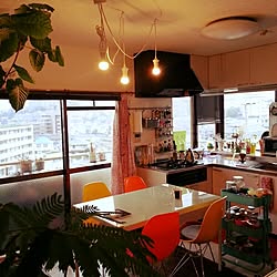 部屋全体/DIY/観葉植物/カフェキッチン/照明...などのインテリア実例 - 2014-11-09 08:26:28