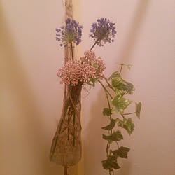 バス/トイレ/植物/植物のある部屋/花のある暮らし/花のある生活...などのインテリア実例 - 2017-04-06 22:15:33