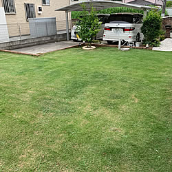 シンボルツリー/庭/芝刈りのインテリア実例 - 2019-07-06 18:56:17