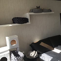 ねこが好き/ねこのいる日常/猫スペース/ものを減らしたい/IKEA...などのインテリア実例 - 2021-03-03 17:55:20