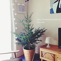 リビング/IKEA/IKEA 購入品/クリスマスツリー♡/クリスマス 北欧...などのインテリア実例 - 2014-11-21 11:46:37