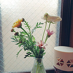 バス/トイレ/芳香剤/癒し/お花は癒し/畑のお花...などのインテリア実例 - 2022-04-26 14:12:45
