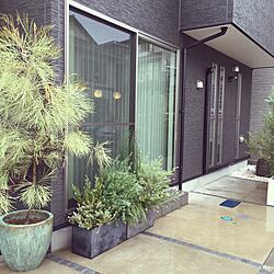玄関/入り口/ガーデニング/植物/グリーンのある暮らし/植物のある暮らしのインテリア実例 - 2016-05-20 01:11:29