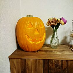 棚/DIY/ハロウィンディスプレイ/ハロウィン/かぼちゃ...などのインテリア実例 - 2015-10-19 23:08:48