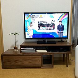 リビング/テレビボードのインテリア実例 - 2014-01-06 12:37:49