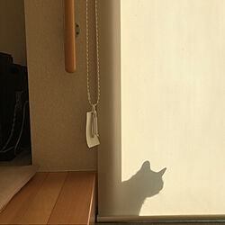 玄関/入り口/遊びに来た猫のインテリア実例 - 2020-01-04 22:00:04