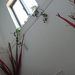 壁/天井/階段の窓のインテリア実例 - 2019-08-04 11:50:53