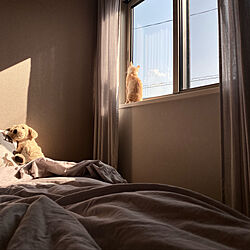 窓/寝室/ベッド/猫のいる暮らし/ベッド周りのインテリア実例 - 2021-02-20 15:13:13