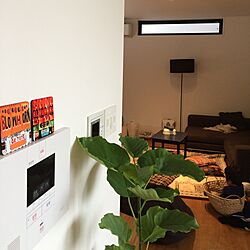 壁/天井/こどもと暮らす。/観葉植物のインテリア実例 - 2015-07-07 18:01:52