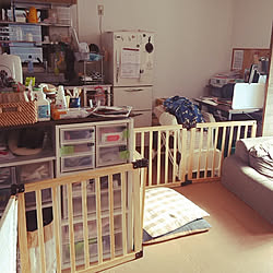 部屋全体/かたづけなさーい/こどもと暮らす。/ディアウォール DIY/賃貸...などのインテリア実例 - 2019-01-09 12:25:24