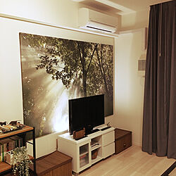 TVボード/IKEA/ライト/リビングのインテリア実例 - 2020-06-27 02:04:01