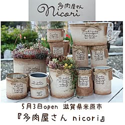 ガーデニング/多肉植物/ナチュラルガーデン/多肉寄せ植え/ガーデン雑貨...などのインテリア実例 - 2016-04-29 20:24:45