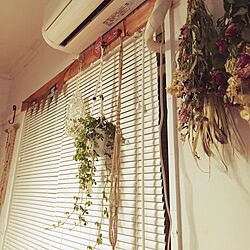 壁/天井/DIY/観葉植物/ハンドメイド/ドライフラワー...などのインテリア実例 - 2016-05-29 23:27:25