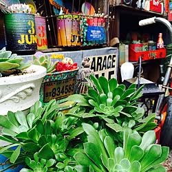 玄関/入り口/多肉植物/いつも、いいね！ありがとうございます/観葉植物/ステンシル...などのインテリア実例 - 2016-04-13 18:24:15