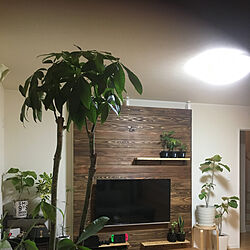 リビング/DIY/ラブリコ ２×４/テレビ壁掛けDIY/観葉植物のインテリア実例 - 2018-10-01 10:35:05