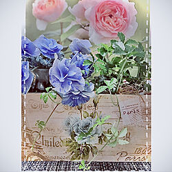 お花のカレンダーを使って！/紫陽花/緑と花と暮らす/みなさんの優しさに感謝❤️/見て頂きありがとうございます⑅︎◡̈︎*...などのインテリア実例 - 2022-06-04 08:31:49