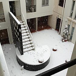 玄関/入り口/中庭/Snow/snowlyのインテリア実例 - 2014-02-13 12:52:37