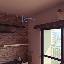 壁/天井/キャットウォーク/DIYのインテリア実例 - 2016-02-26 14:04:48