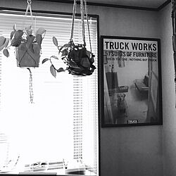 壁/天井/TRUCK FUNITURE/TRUCK WORKS/TRUCKのインテリア実例 - 2017-02-13 10:16:47