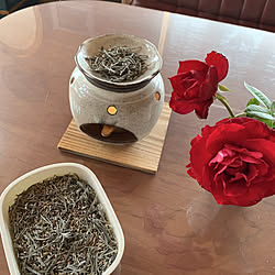 ラベンダーを茶香炉で/植物と暮らす/ラベンダー/部屋全体のインテリア実例 - 2020-06-20 15:37:39
