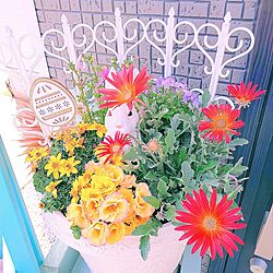 玄関/入り口/お花が好き/目立つように/庭/DIYのある暮らし...などのインテリア実例 - 2023-03-16 21:49:14