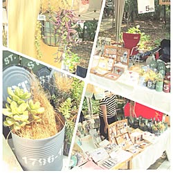 リメ缶/植物/JUNK/多肉植物のインテリア実例 - 2015-05-10 19:43:49