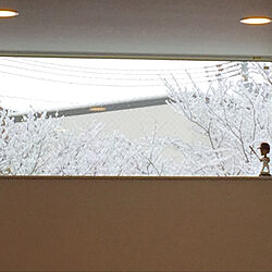 雪/窓から見える景色/リビングのインテリア実例 - 2021-12-31 22:46:39