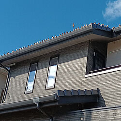 壁/天井/外装/屋根/すずめのインテリア実例 - 2022-01-08 19:37:12