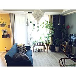 部屋全体/IKEA/マンション暮らし/北欧ファブリック/観葉植物...などのインテリア実例 - 2016-09-10 14:42:08