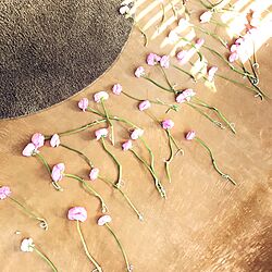 壁/天井/花のある暮らし/生花/ラナンキュラス/ピンクのお花...などのインテリア実例 - 2017-02-06 20:06:24